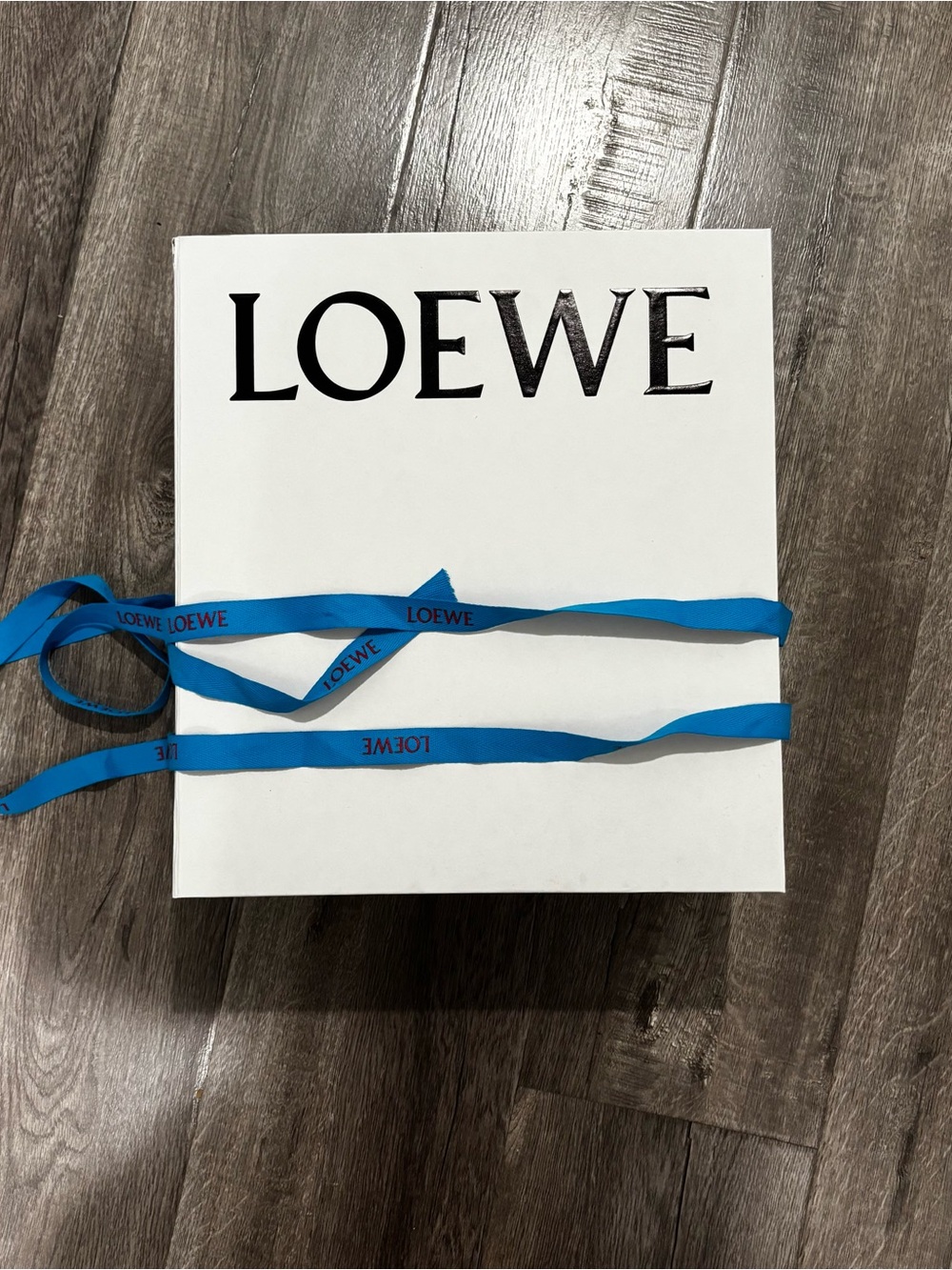 Loewe Purse Box
